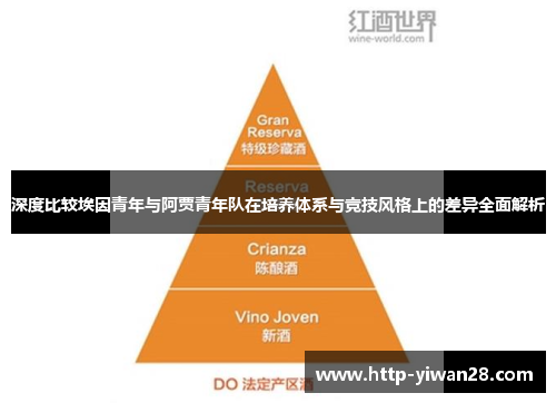 深度比较埃因青年与阿贾青年队在培养体系与竞技风格上的差异全面解析 深度比较埃因青年与阿贾青年队在培养体系与竞技风格上的差异全面解析